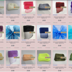 Organza Sash Sample