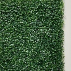 Premium Quality Boxwood Topiary Wall Panel - Green